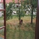 View out Mistress Troy's window at OWK